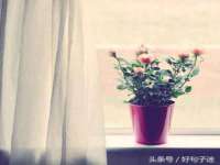 南京墨丘利家居有限公司