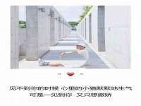 南京墨丘利家居有限公司