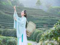 南京墨丘利家居有限公司