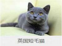 南京墨丘利家居有限公司