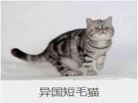 南京墨丘利家居有限公司
