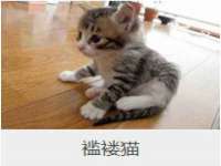 南京墨丘利家居有限公司