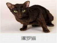 南京墨丘利家居有限公司