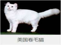 南京墨丘利家居有限公司