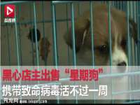 南京墨丘利家居有限公司