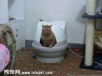 南京墨丘利家居有限公司