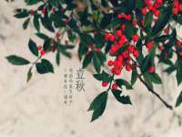 南京墨丘利家居有限公司