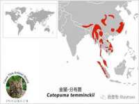南京墨丘利家居有限公司