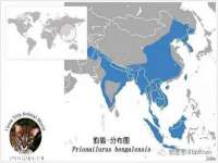 南京墨丘利家居有限公司