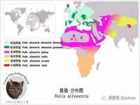 南京墨丘利家居有限公司