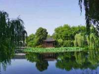 南京墨丘利家居有限公司