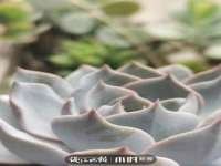 南京墨丘利家居有限公司