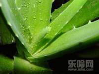 南京墨丘利家居有限公司