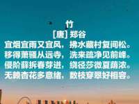 南京墨丘利家居有限公司