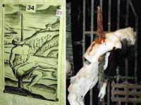 南京墨丘利家居有限公司