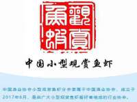 南京墨丘利家居有限公司