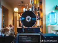南京墨丘利家居有限公司