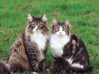南京墨丘利家居有限公司