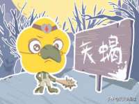 南京墨丘利家居有限公司