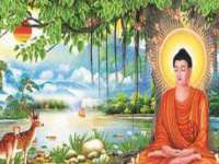 南京墨丘利家居有限公司