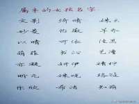 南京墨丘利家居有限公司